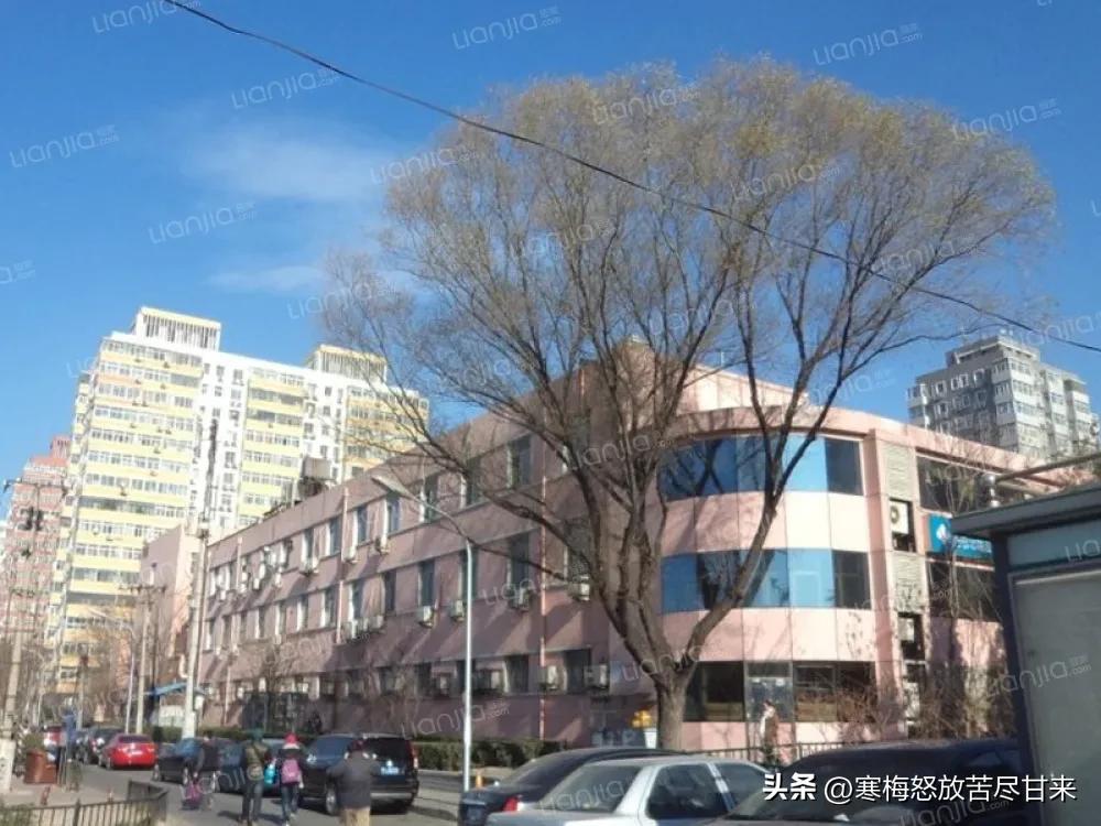 万柳书院少爷怎么火起来的,万柳书院少爷为什么让人羡慕