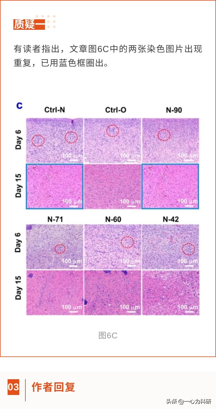 南大副教授sci论文被撤稿,中山大学sci论文因图片重复