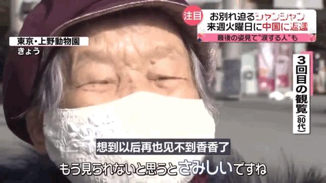 大熊猫香香回国香香出生,大熊猫香香回国后首次露面