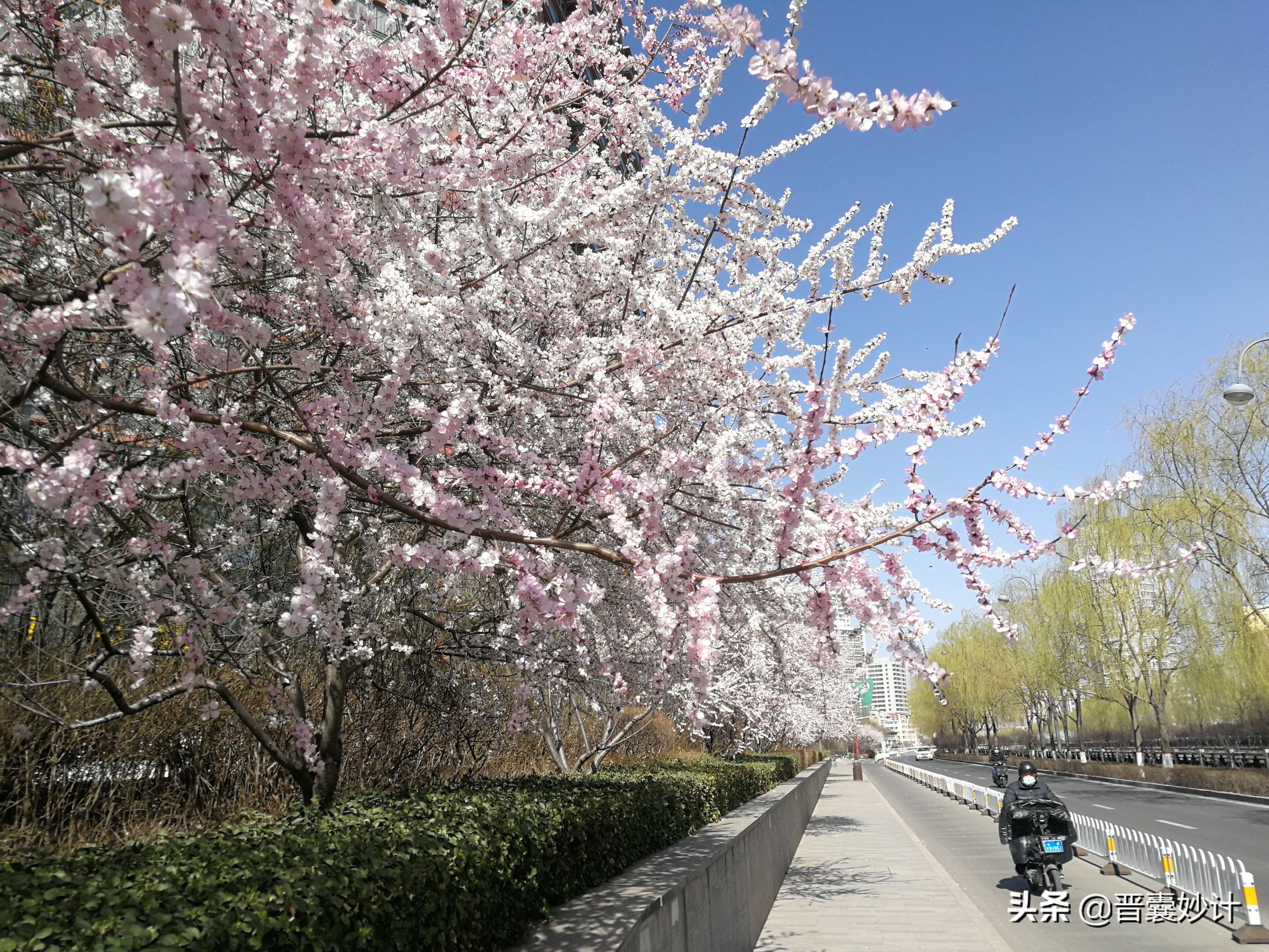虚惊一场！山西平遥新冠筛查，交通管控只进不出几小时后恢复通行