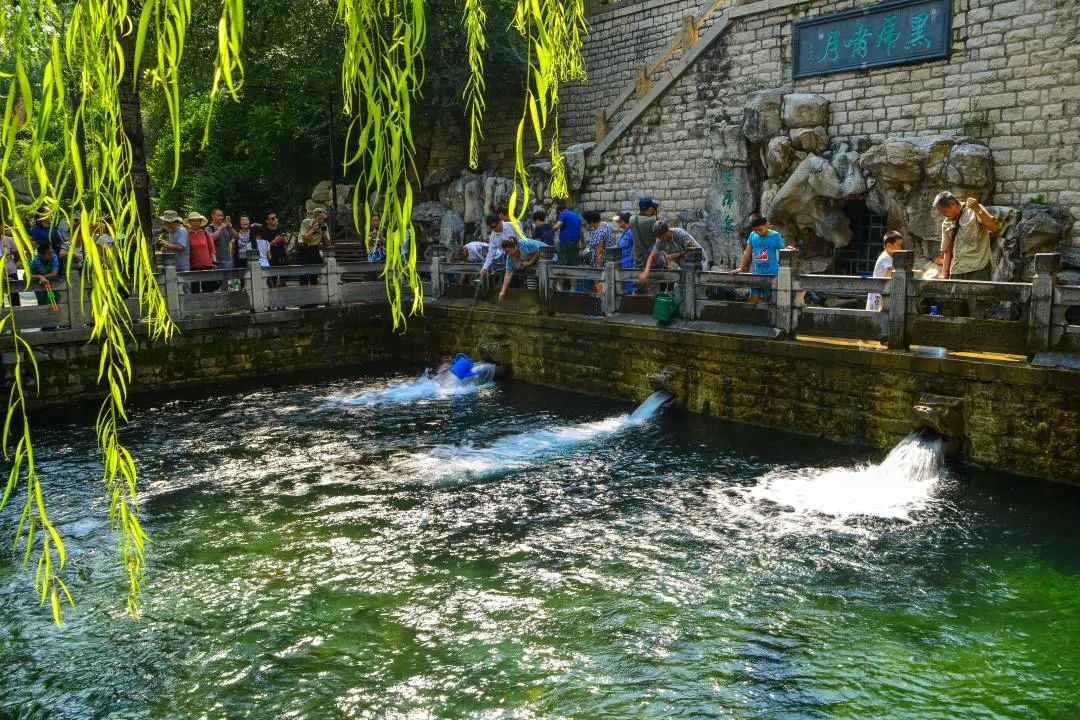 济南最火的几个网红景点打卡,济南网红打卡点景点