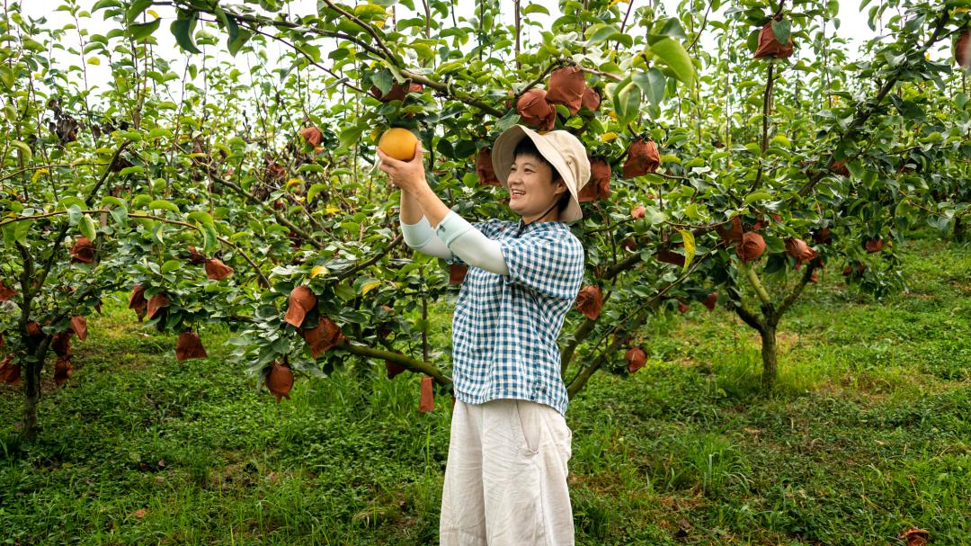 直播卖土特产年赚亿元,创业直播卖农产品