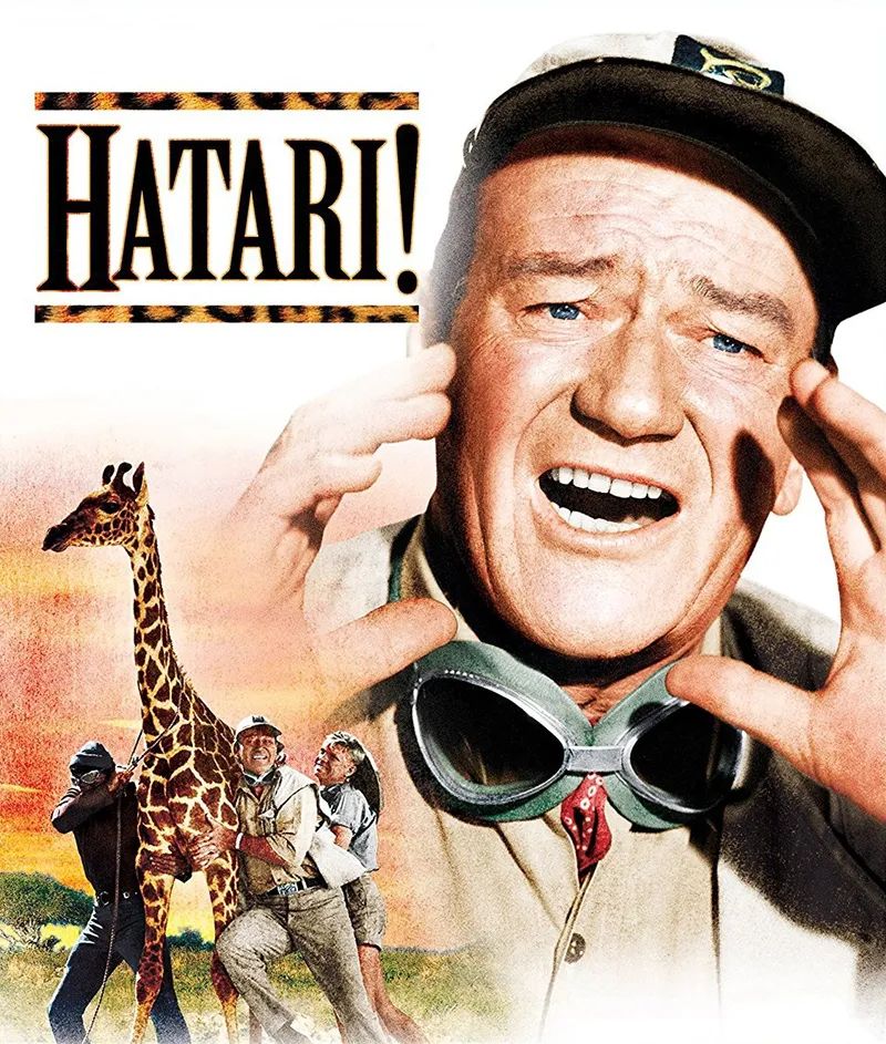 不要抬头看月亮全文,不要抬头看月亮