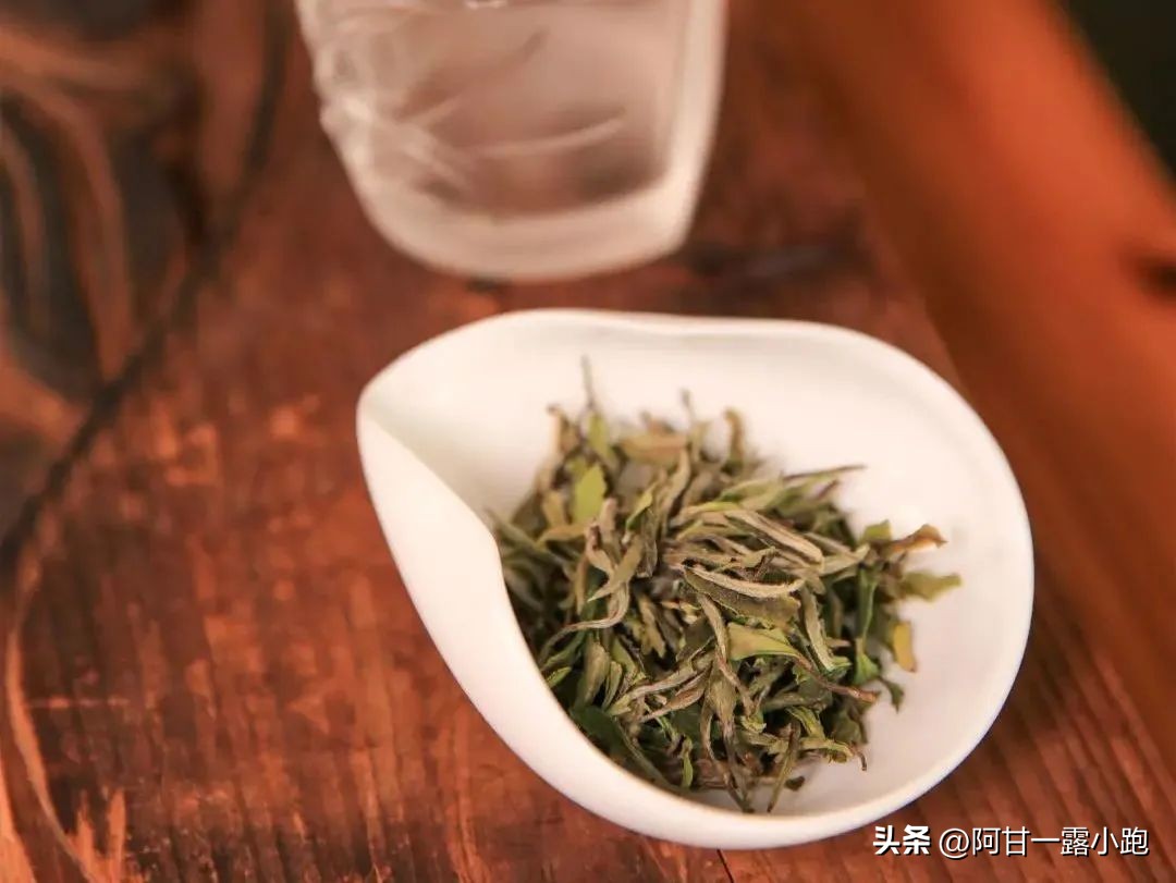 建阳小白茶现状,建瓯北苑贡茶的现状