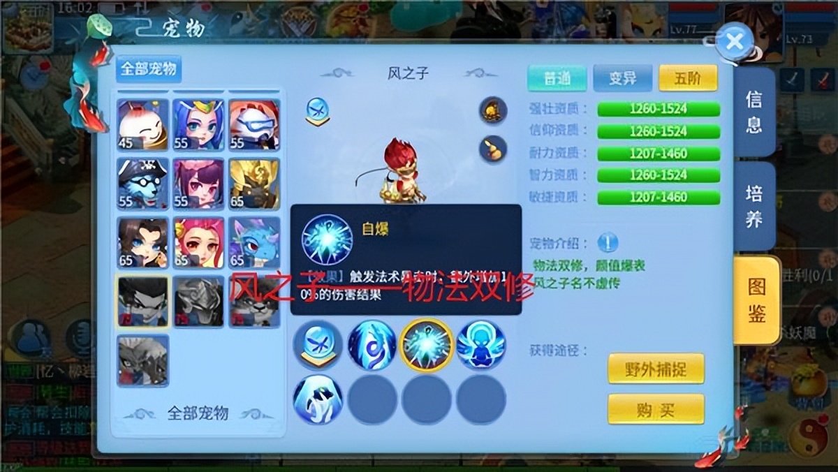 天书奇谈vip兑换码,天书奇谈累计充值奖励