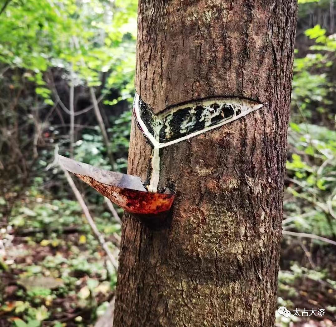 太古大漆产品好不好,太古大漆在哪里