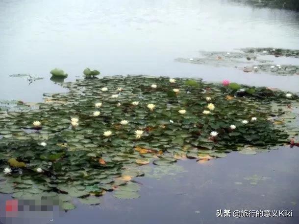 上海自驾西山旅游攻略,苏州东山一日游自驾游最佳路线图