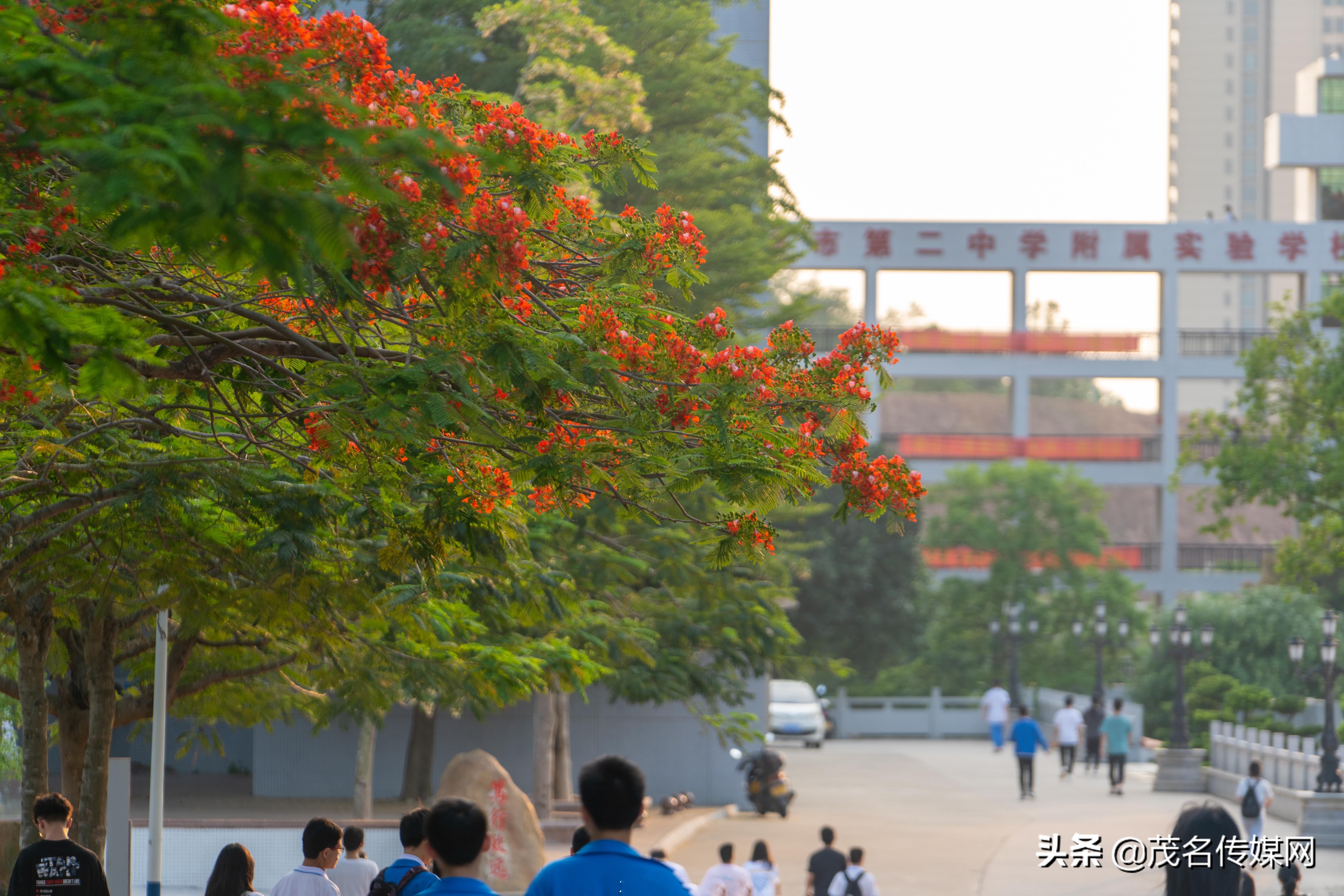 高州二中118周年校庆颁奖,高州二中117年校庆