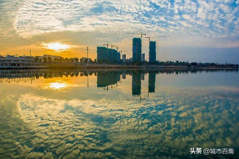 江苏淮安莲藕,淮安国家级农业示范园