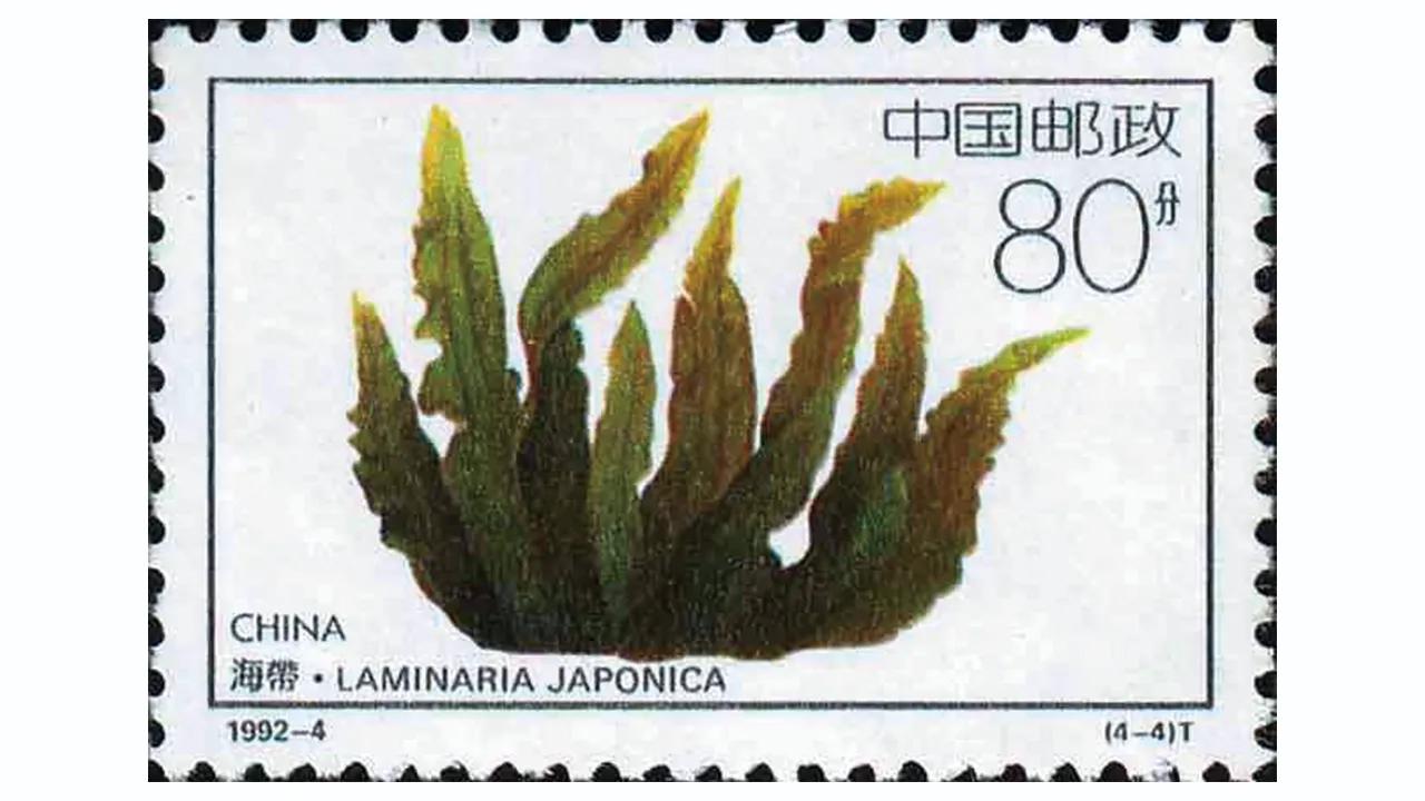 「每日一邮」1992-4《近海养殖