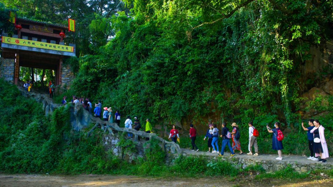 六郎城仙草秘境门票有几个景区,六郎城仙草秘境门票多少钱一个人