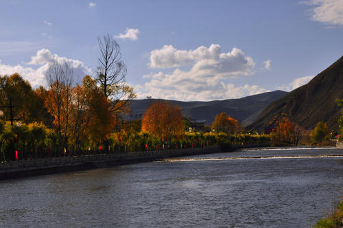 王小忠经典散文欣赏,作家王小忠