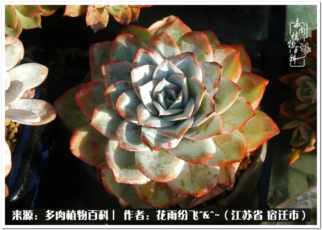 回味童年无忧无虑的快乐时光,童年最快乐的时光