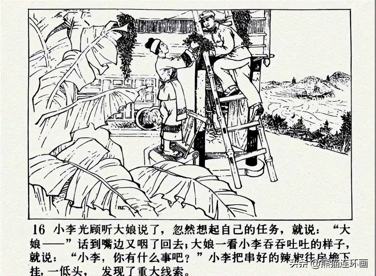 连环画南瓜生蛋的秘密价格,南瓜故事连环画