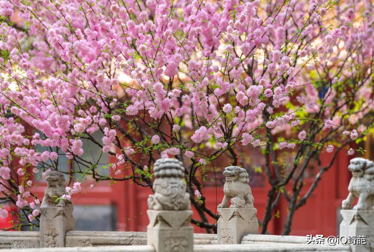 故宫值得一看的文物,故宫游玩旅游攻略