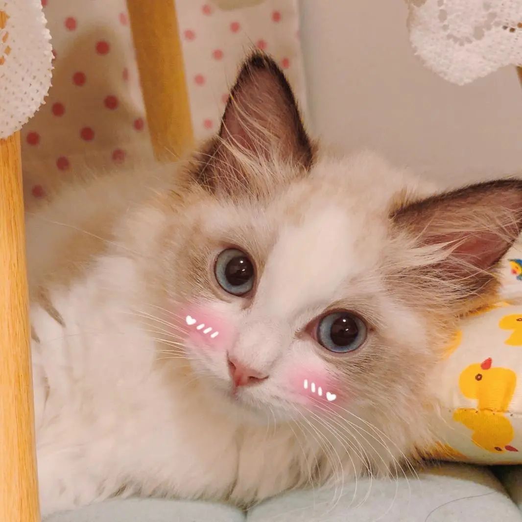 深圳宝安机场短途车攻略,深圳机场出行攻略