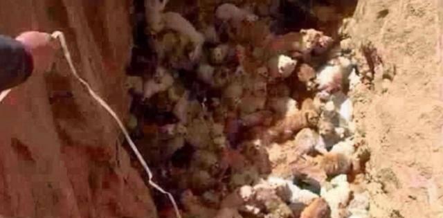 古代惨无人道的各种酷刑,古代刑罚惨无人道的十大酷刑