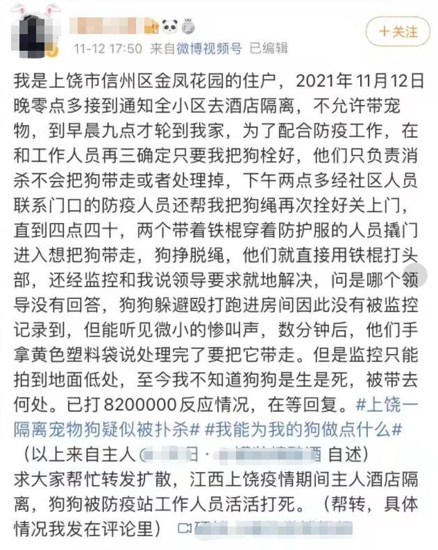 疫情宠物被无害化处理怎么办,无害化处理宠物狗