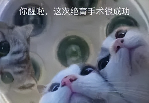 每次月经期都会咯血如何治疗,月经咯血怎么治病