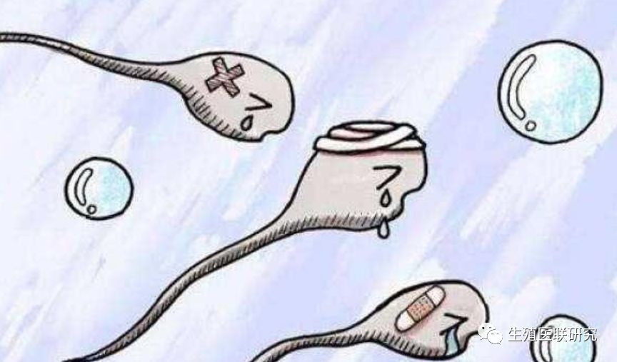 无精子症状报告分析图,科普无精子症的处理