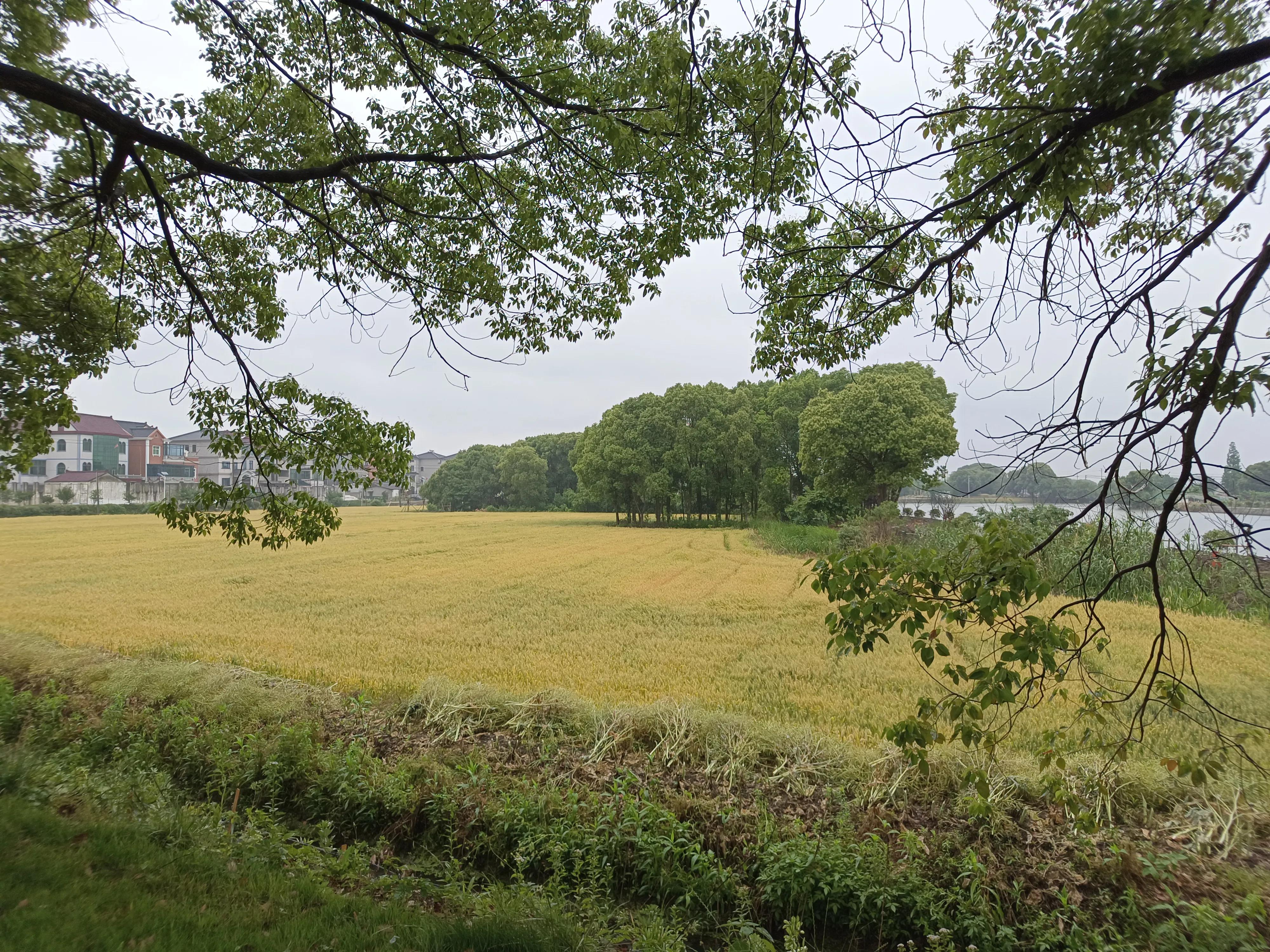 徒步第十二天旅行记录,徒步第十二天旅行