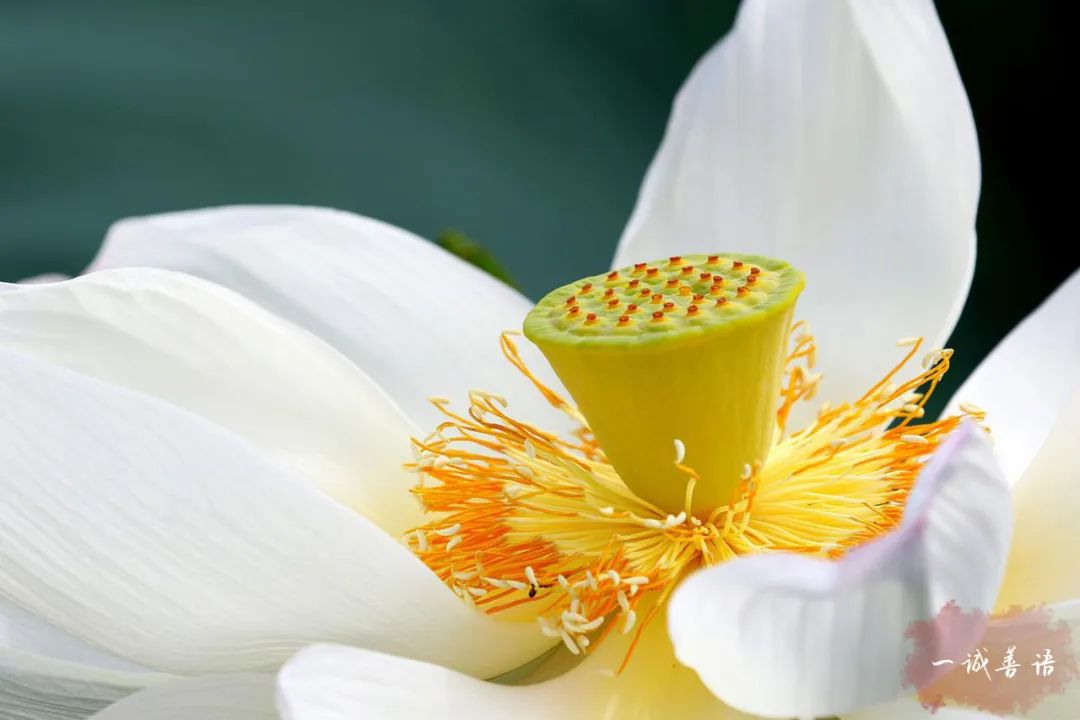 管自己是佛管别人是魔,管自己是神管别人是神经病文案