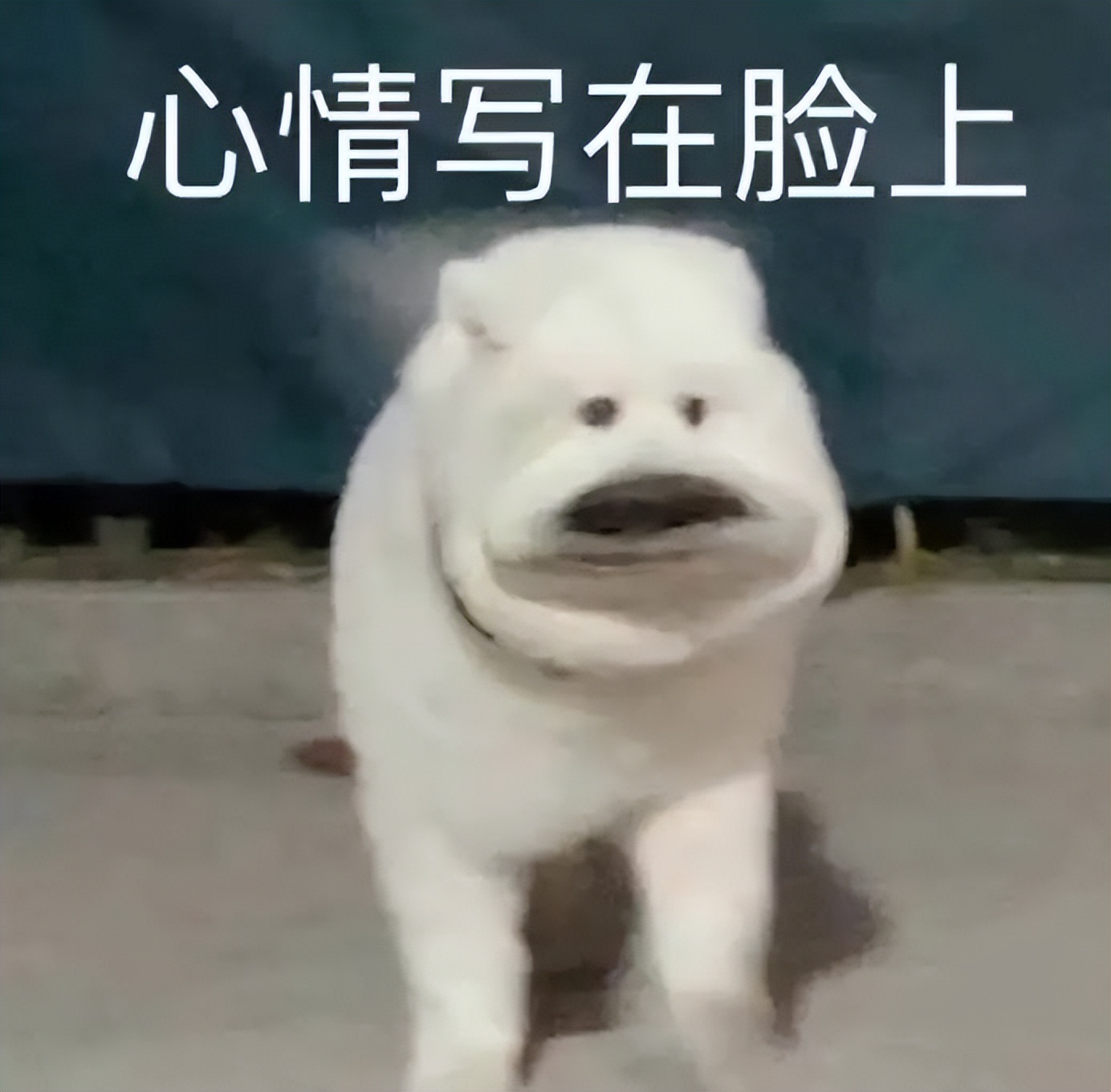 开幼儿园赔钱怎么经营,开幼儿园的十大忠告