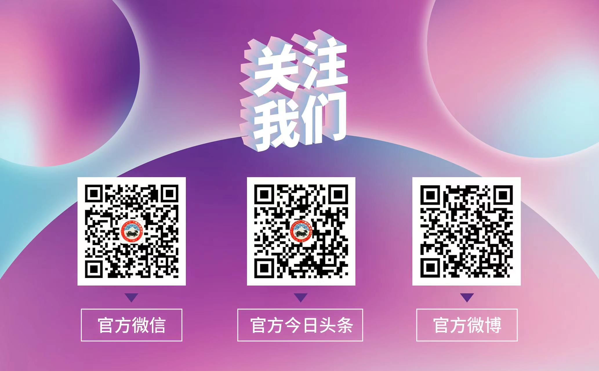 藏西风景,藏西美景视频大全