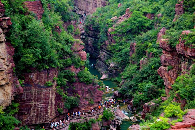 人病了可以吃药，可是城市病了又该拿什么来医？写给市长的一封信