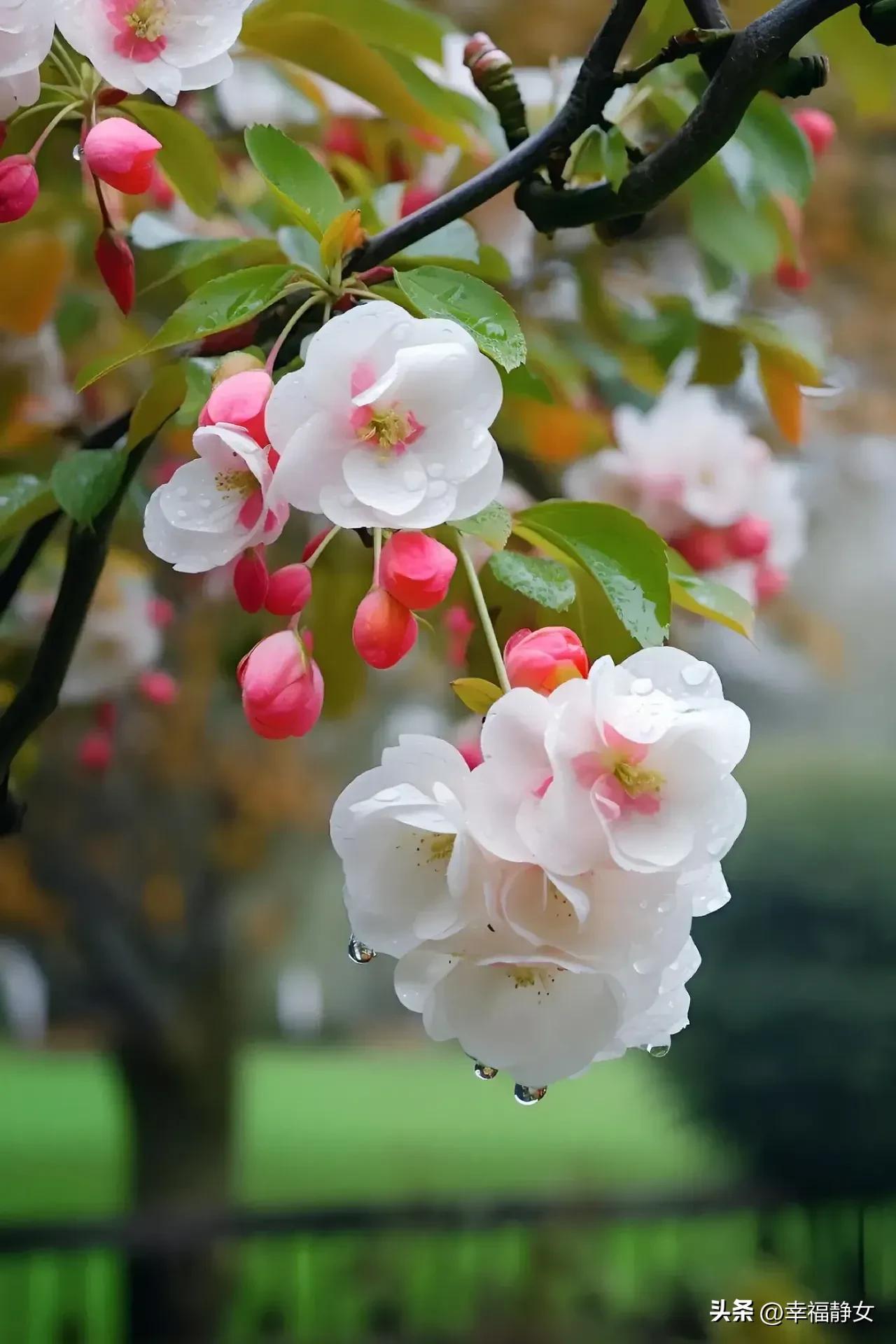 一位好老师改变一个穷学生的命运,一位好老师胜过万卷书诗句