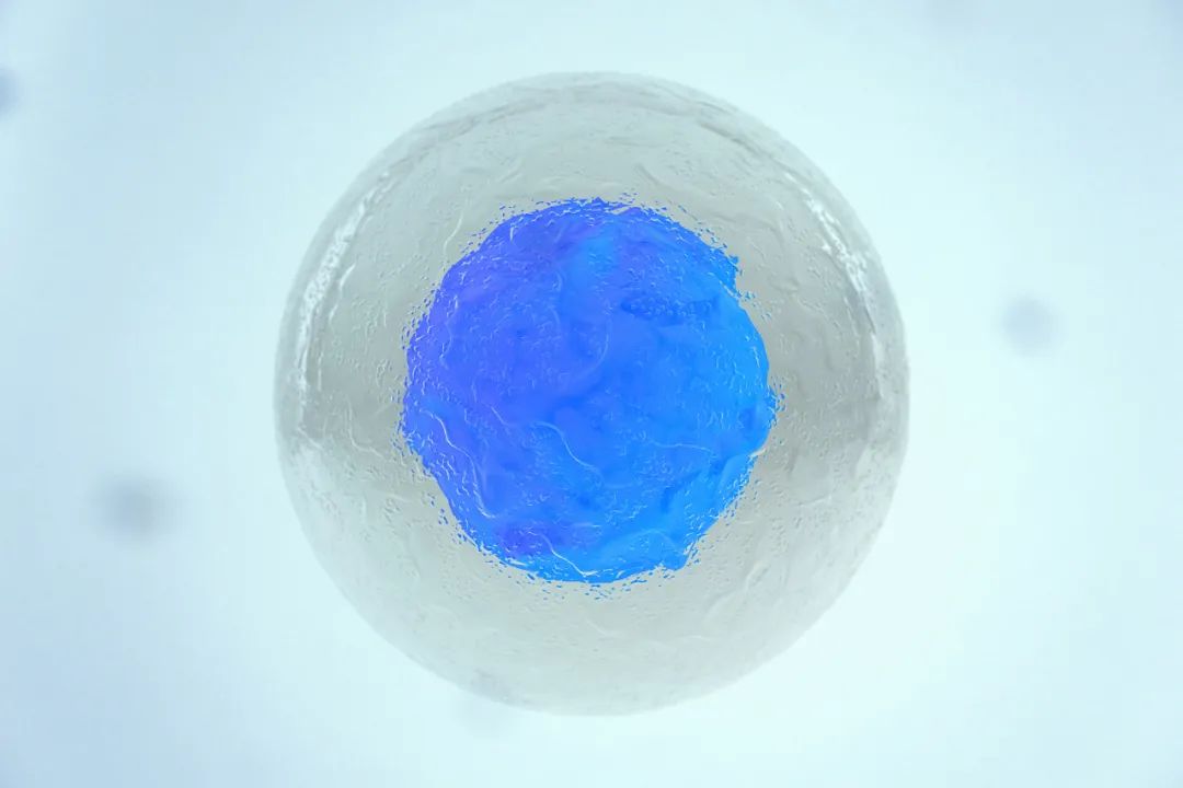 干细胞在3d打印中的应用,干细胞3d打印教程