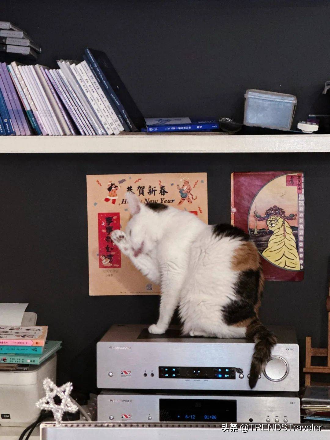 感受一下澳门的纸醉金迷 (澳门纸醉金迷最豪华的地方)