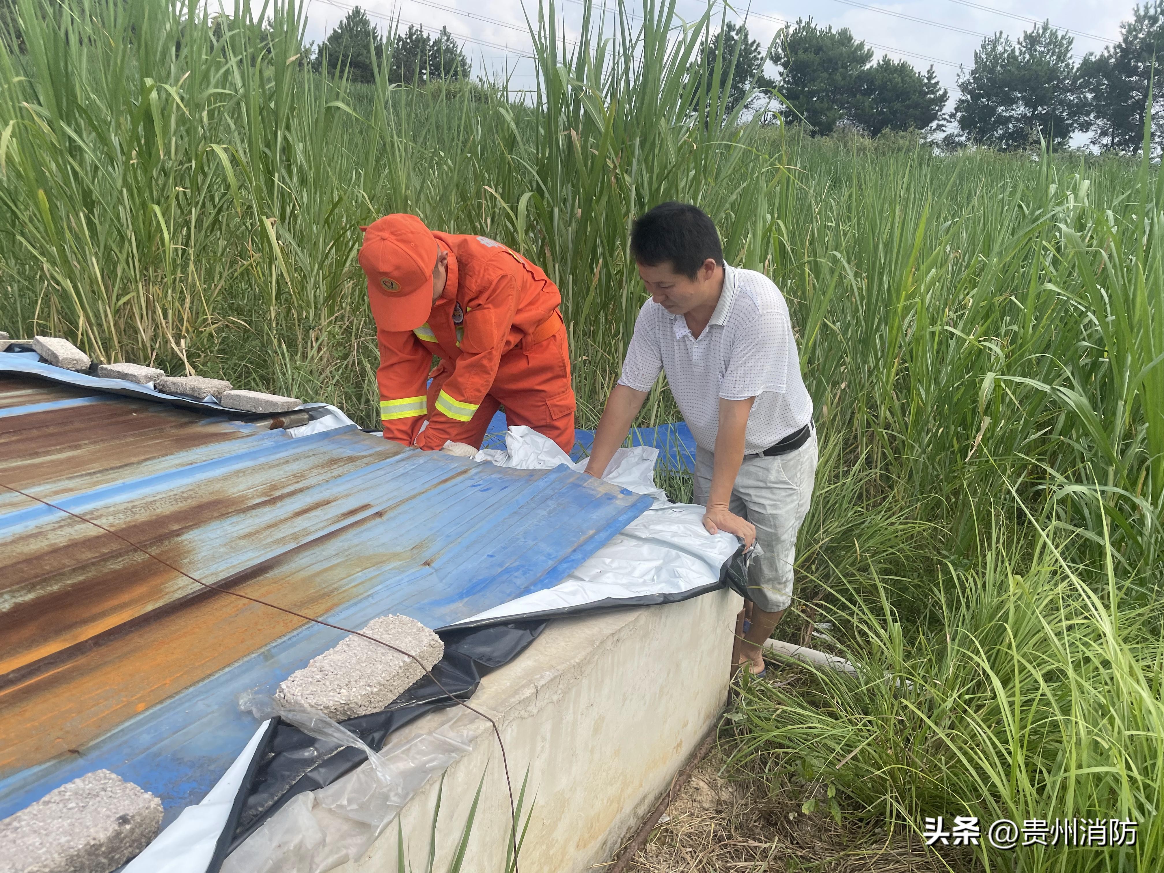 猪场供水供电应急预案图片,洪水围困养猪场消防紧急排险