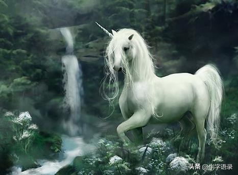 山海经异兽录排名大全,山海经异兽图片九尾狐