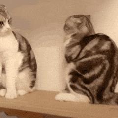 走路累了坐着歇一会,走累了坐下歇会怎么回事