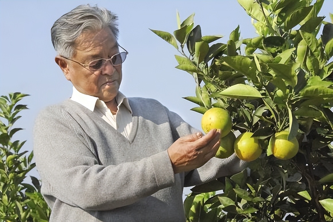烟王褚时健何时入狱,烟草大王褚时健为何入狱