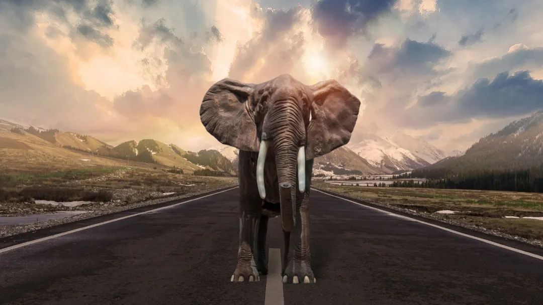 百亿补贴大战，淘宝隔岸观火