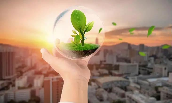 海南特色产业发展前景,怎么样发展农村特色产业