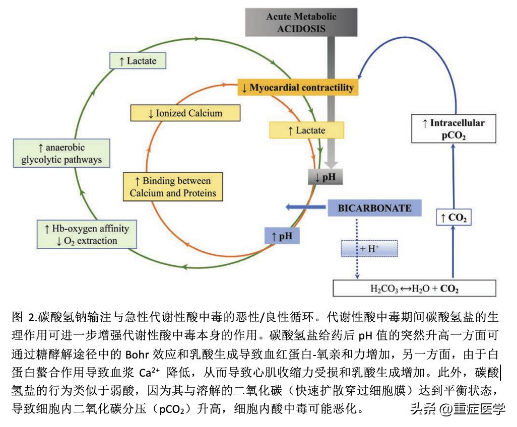碳酸氢钠在不同危重症患者中的应用