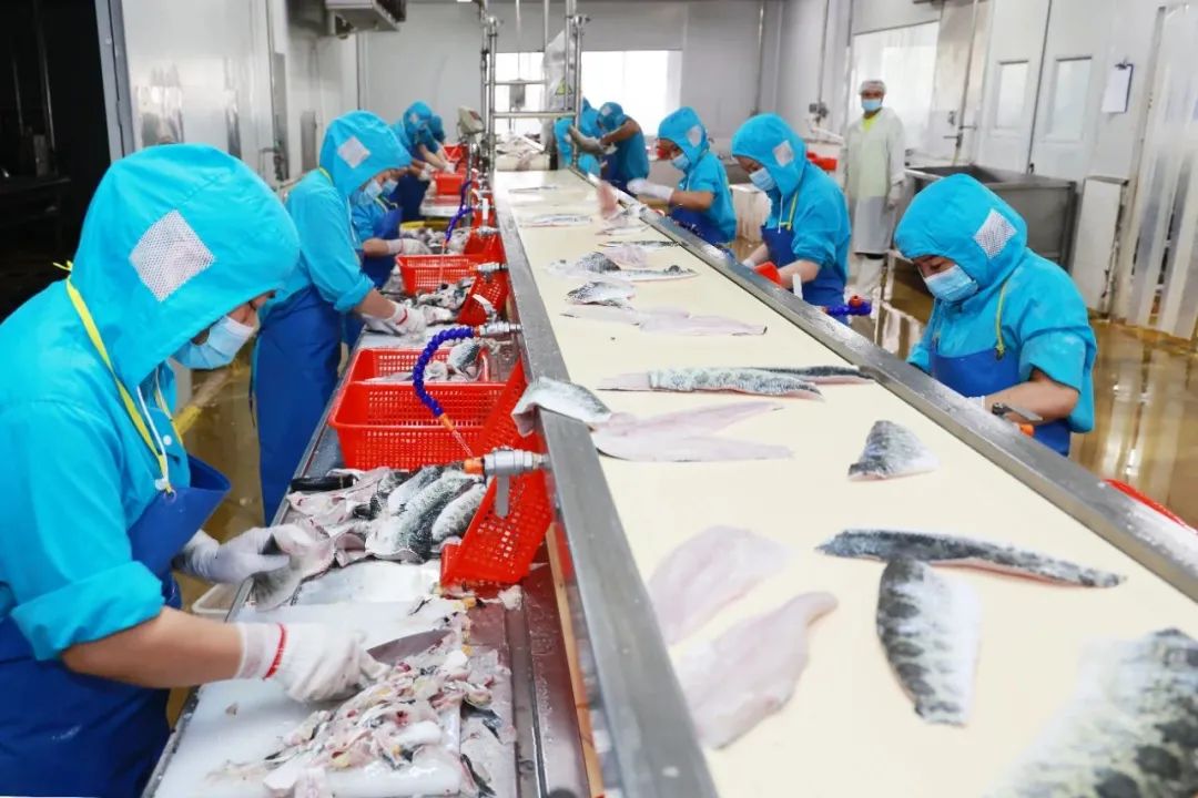 荣海水产养殖公司,广东容海水产养殖科技有限公司