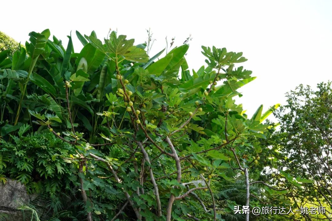 酒店民宿测评,酒店测评300一间房