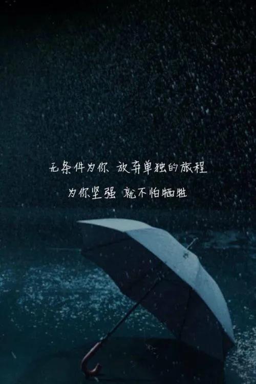 亲爱的，你从我的全世界路过，纵使悲凉也是情