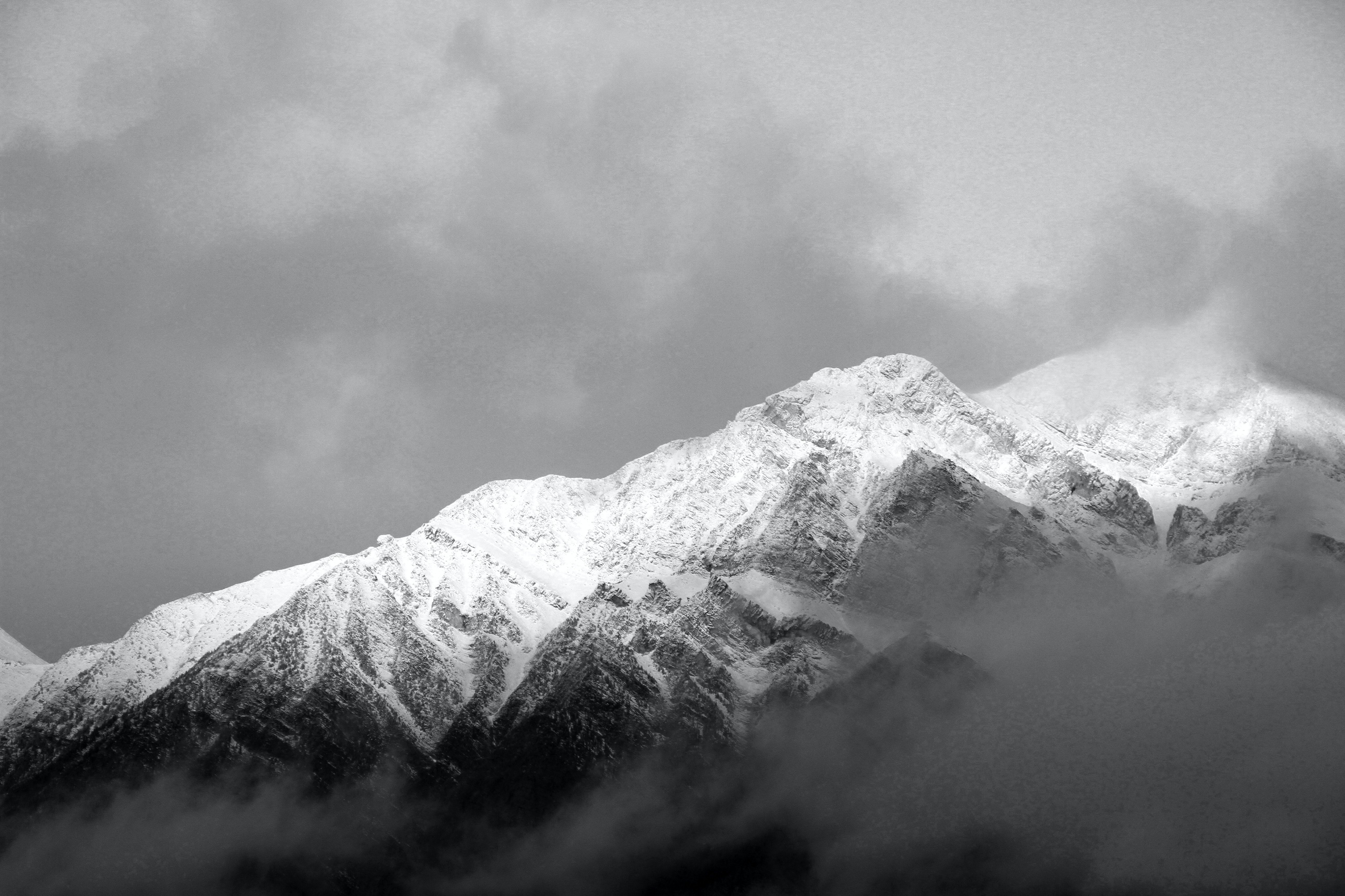 视频资源整合网址,视频资源推荐入口