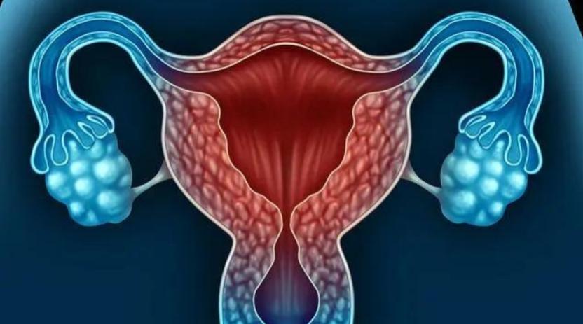 失去子宫的女人和正常人的区别,失去子宫的女人结局