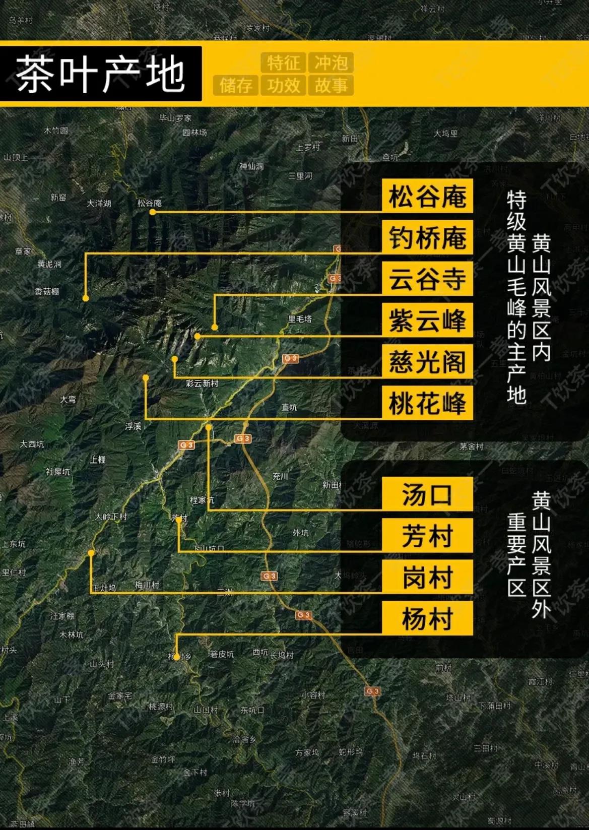 黄山名茶毛峰祁门,秒懂都匀毛尖茶各山头香气