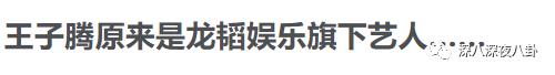 王子腾人物评价,王子腾是男的还是女的
