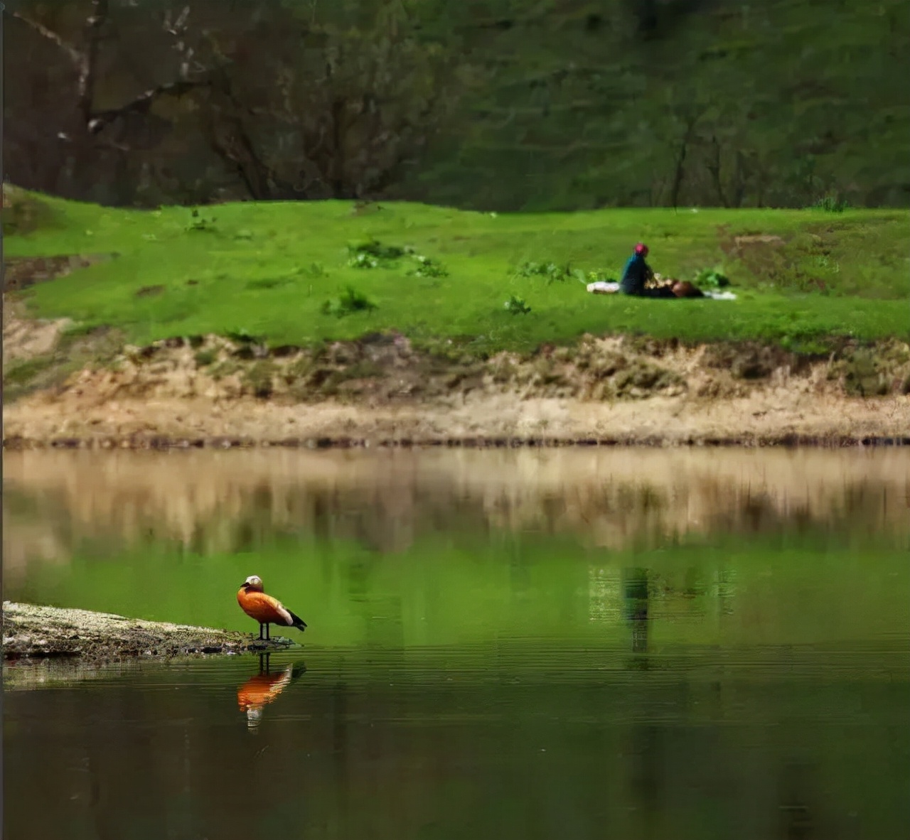 火了！新源又火了！全国瞩目，未来发展不可估量！为你的家乡比心
