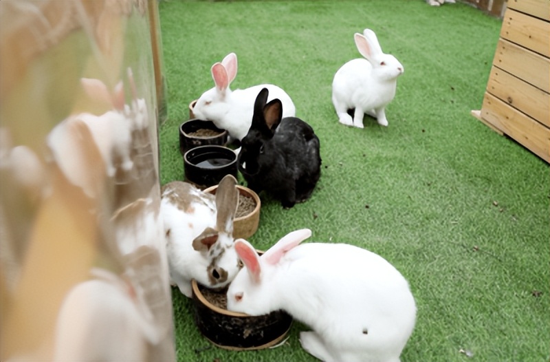 假日模式开启,假日模式怎么玩儿