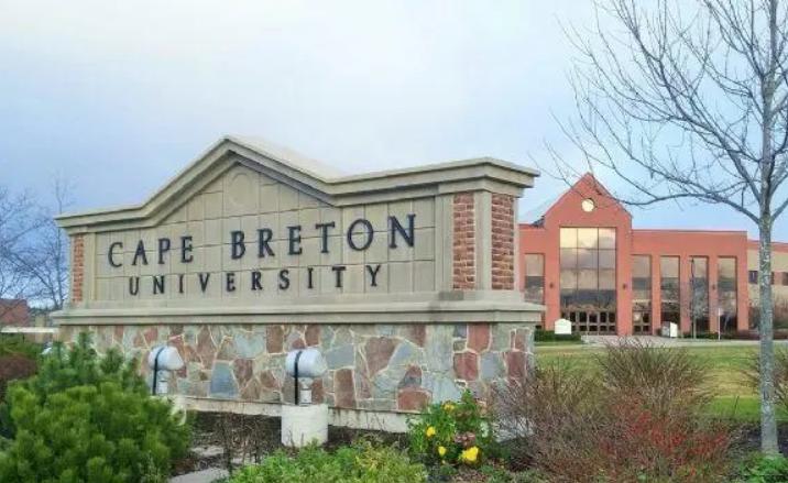 加拿大卡普顿大学双语mba,加拿大卡尔顿大学mba课程