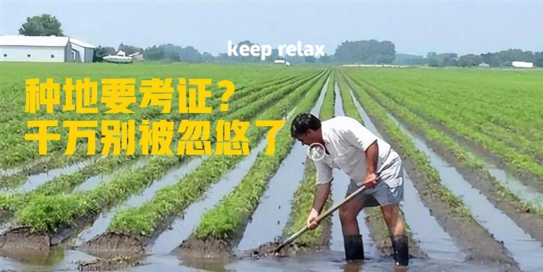 农民种地要考农民证是真的吗,哪个专家提出种地要考证